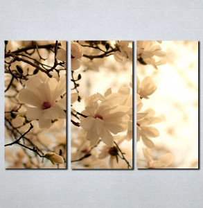Slike na platnu Cvet voćke u proleće Nina099_3