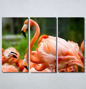 Slike na platnu Flamingo ptica Nina30256_3