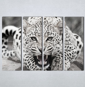 Slike na platnu Leopard Nina123_4