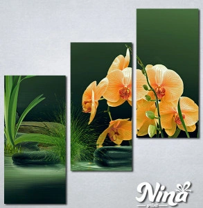 Slike na platnu Narandzasta orhideja Nina357_3 - Img 2