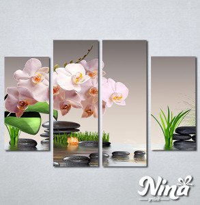 Slike na platnu Roze orhideja Nina304_4