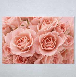 Slike na platnu Roze ruže Nina065_P