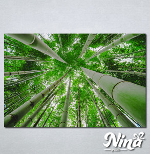 Slike na platnu Suma bambusa Nina329_P