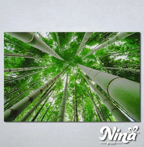 Slike na platnu Suma bambusa Nina329_P
