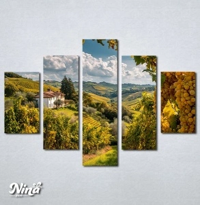 Slike na platnu Vinograd Nina656_5