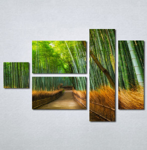 Slike na platnu Bambus Nina215_5