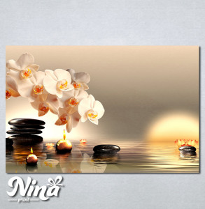 Slike na platnu Bela orhideja Nina225_P