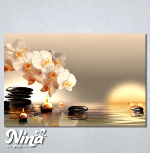 Slike na platnu Bela orhideja Nina225_P