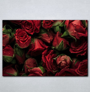 Slike na platnu Buket crvenih ruza Nina143_P