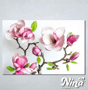 Slike na platnu Cvet magnolije Nina339_P