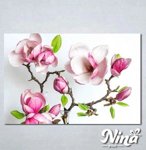 Slike na platnu Cvet magnolije Nina339_P