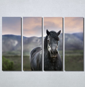 Slike na platnu Konj na poljani Nina30205_4