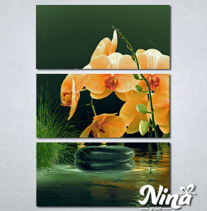 Slike na platnu Narandzasta orhideja Nina357_3 - Img 3