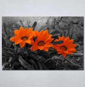 Slike na platnu Narandzasti cvet Nina128_P