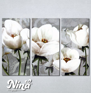 Slike na platnu Nezno beli cvet Nina347_3