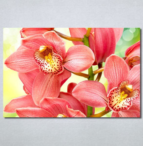 Slike na platnu Orhideje 2 Nina30306_P