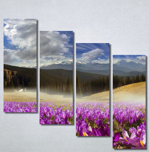 Slike na platnu Pink flowers Nina30223_4 - Img 3