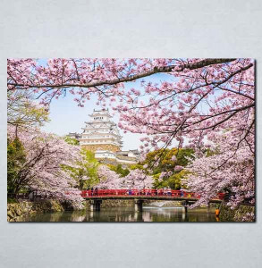 Slike na platnu Sakura Japan Nina083_P