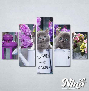 Slike na platnu Sive mačke Nina311_5