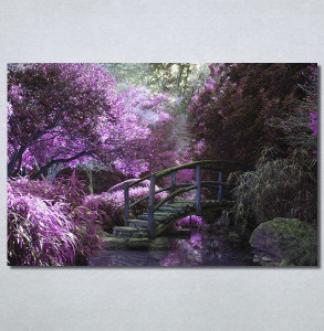 Slike na platnu Vrt i ljubičasto drvo Nina30220_P