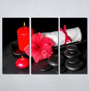 Slike na platnu Wellness spa crveni cvet Nina182_3
