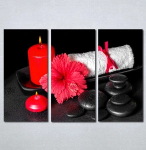 Slike na platnu Wellness spa crveni cvet Nina182_3