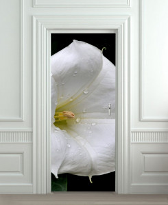 Nalepnica za vrata Beli cvet 6017