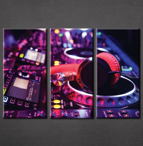 Slika na platnu DJ Nina3036_3