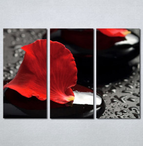 Slike na platnu Crvena latica cveta Nina124_3