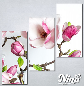 Slike na platnu Cvet magnolije Nina339_3 - Img 2
