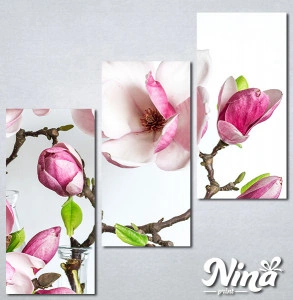 Slike na platnu Cvet magnolije Nina339_3 - Img 2