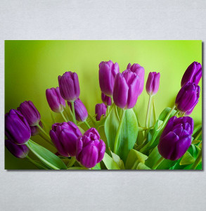 Slike na platnu Ljubičaste lale tulipani Nina30350_P