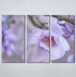Slike na platnu Ljubicasti cvet Nina001_3