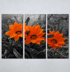 Slike na platnu Narandzasti cvet Nina128_3