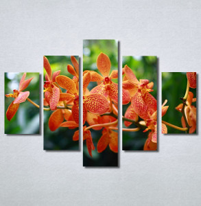 Slike na platnu Narandžasti cvet Nina30233_5
