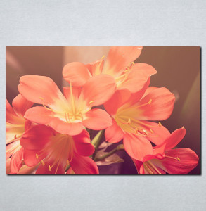 Slike na platnu Roze cveće Nina087_P
