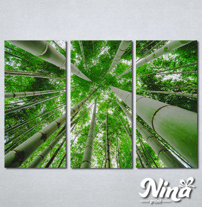 Slike na platnu Suma bambusa Nina329_3