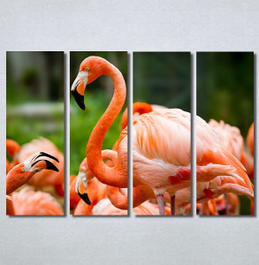 Slike na platnu Flamingo ptica Nina30256_4