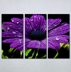 Slike na platnu Ljubicasti veliki cvet Nina132_3