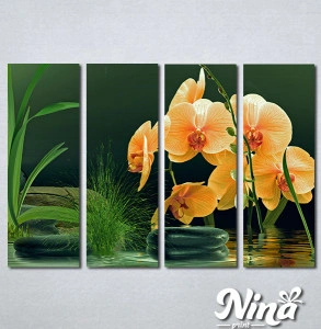 Slike na platnu Narandzasta orhideja Nina357_4 - Img 2