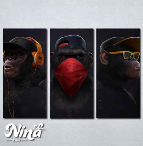 Slike na platnu Tri majmuna Nina255_3