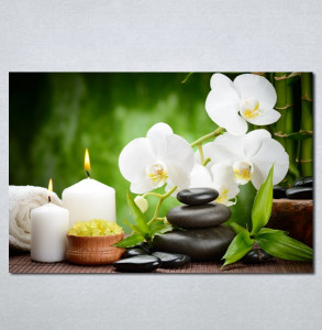 Slike na platnu Wellness spa bela orhideja Nina 181_P