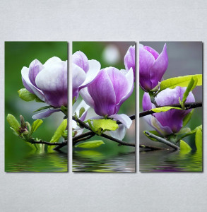 Slika na platnu Ljubičasta magnolija Nina3097_3