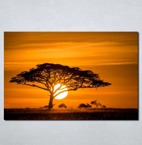 Slike na platnu Afrika zalazak sunca Nina077_P