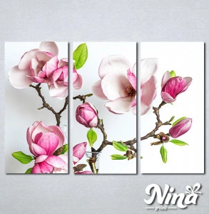 Slike na platnu Cvet magnolije Nina339_3