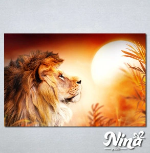 Slike na platnu Lav kralj životinja Nina308_P
