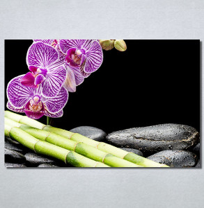 Slike na platnu Ljubicasta orhideja i bambus Nina30213_P