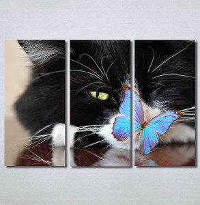 Slike na platnu Mačka i leptir Nina30250_3