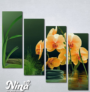 Slike na platnu Narandzasta orhideja Nina357_4
