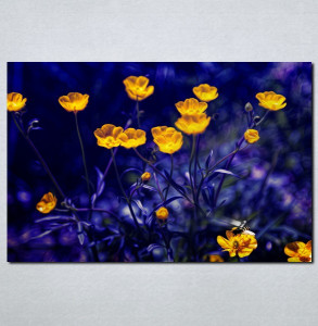 Slike na platnu Prelep žuti cvet Nina003_P